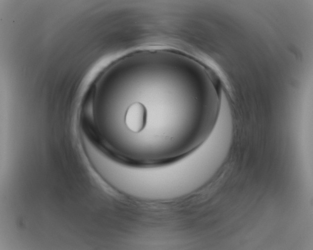 X0000114391472200910161243