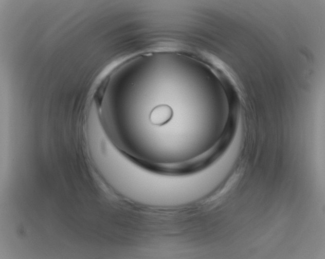 X0000114391473200910161243