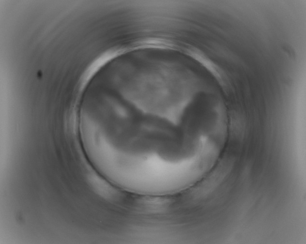 X0000114391474200910161243