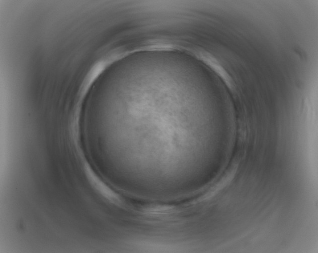 X0000114391475200910161243