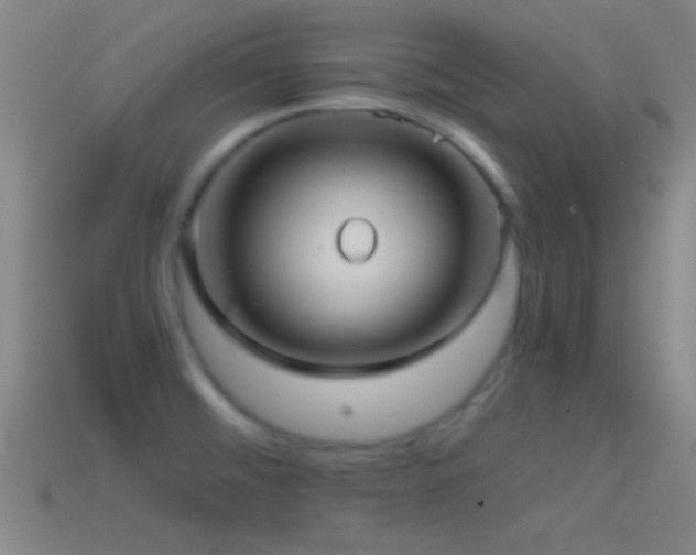 X0000114391476200910161243