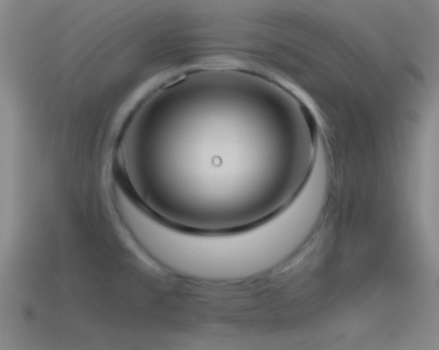 X0000114391477200910161243