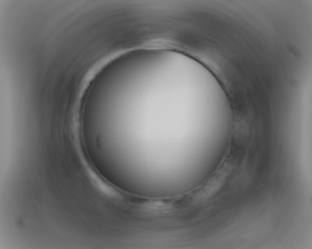 X0000114391478200910161243