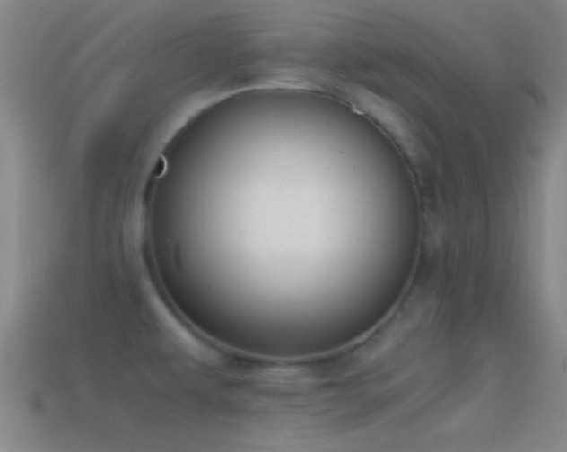 X0000114391479200910161243