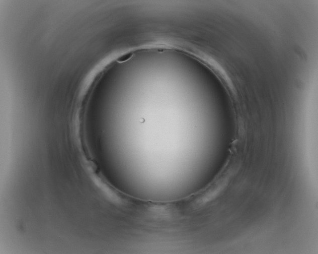 X0000114391480200910161243