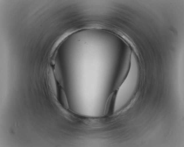 X0000114391481200910161243