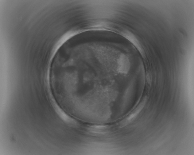 X0000114391482200910161243