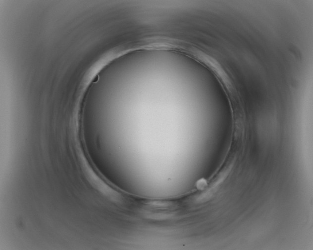 X0000114391483200910161243