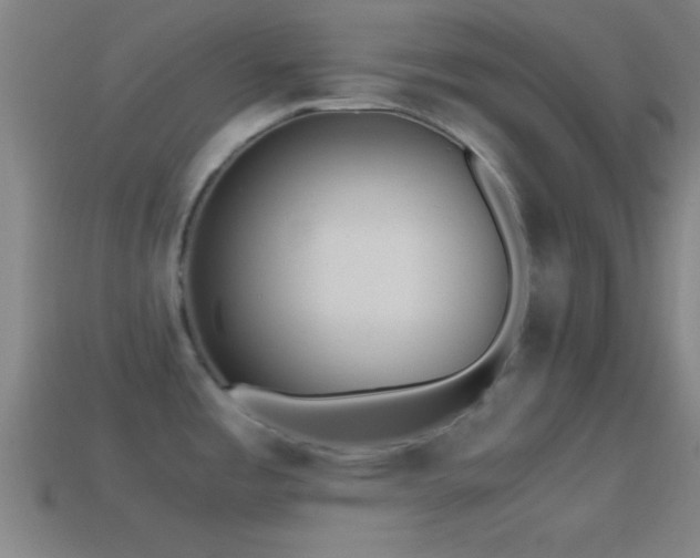 X0000114391485200910161243