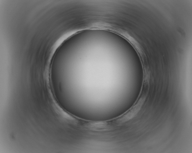X0000114391486200910161243