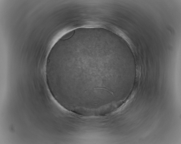 X0000114391487200910161243