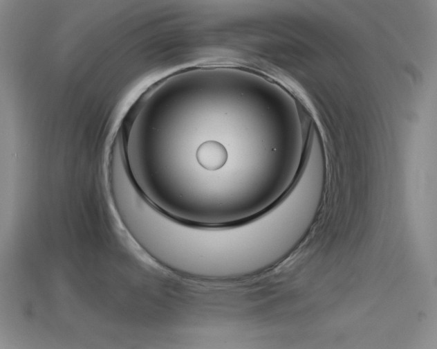 X0000114391488200910161243