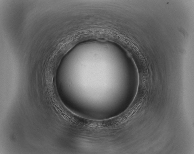 X0000114391489200910161242
