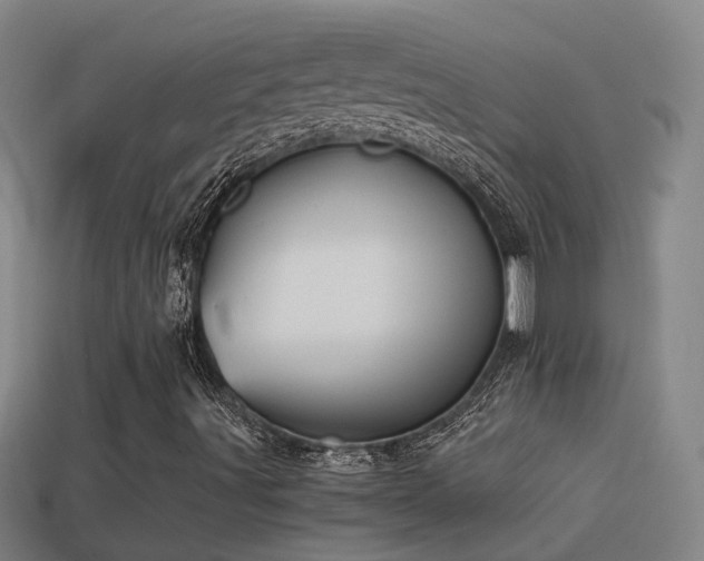 X0000114391491200910161242
