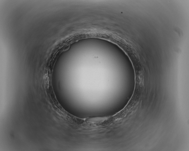 X0000114391493200910161242