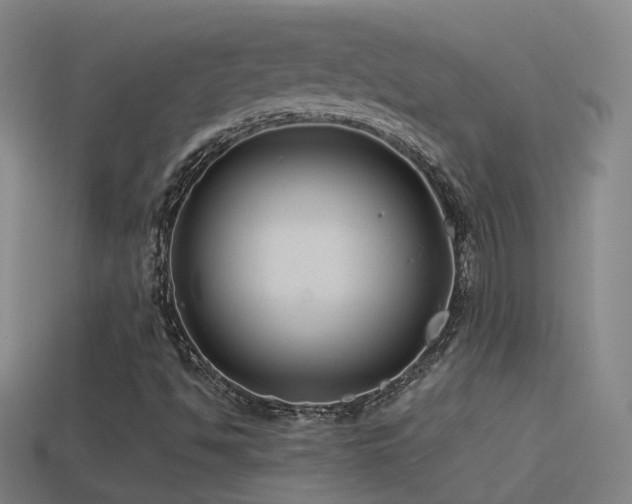 X0000114391494200910161242