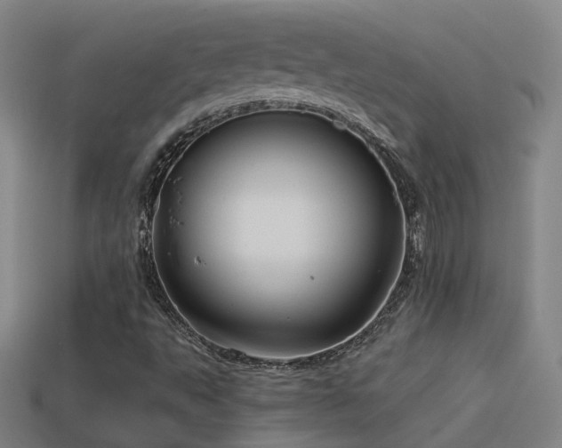 X0000114391495200910161242