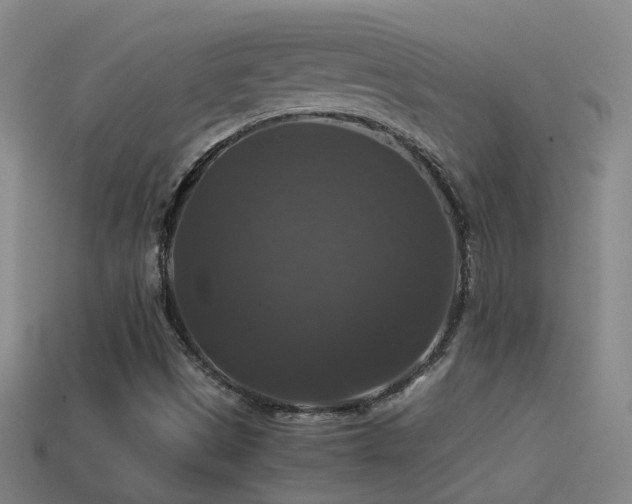 X0000114391497200910161243