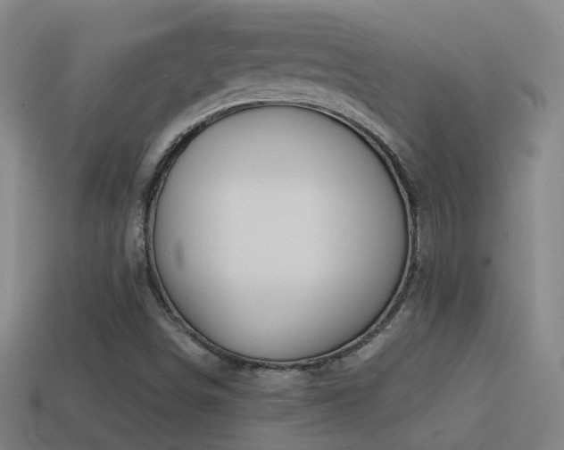 X0000114391498200910161243
