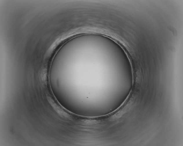 X0000114391499200910161243