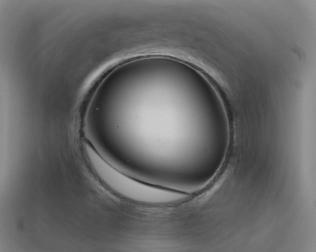 X0000114391502200910161243