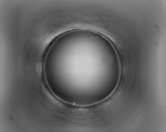 X0000114391503200910161243