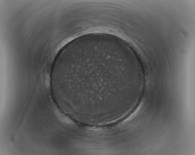 X0000114391505200910161243