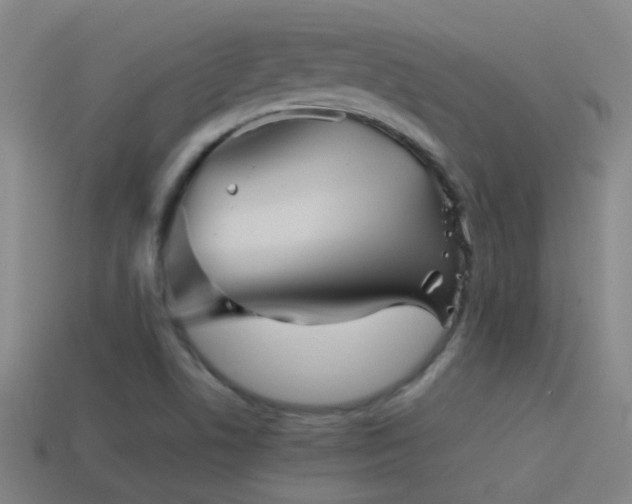 X0000114391506200910161243