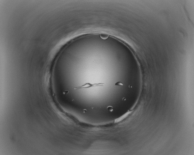 X0000114391507200910161243