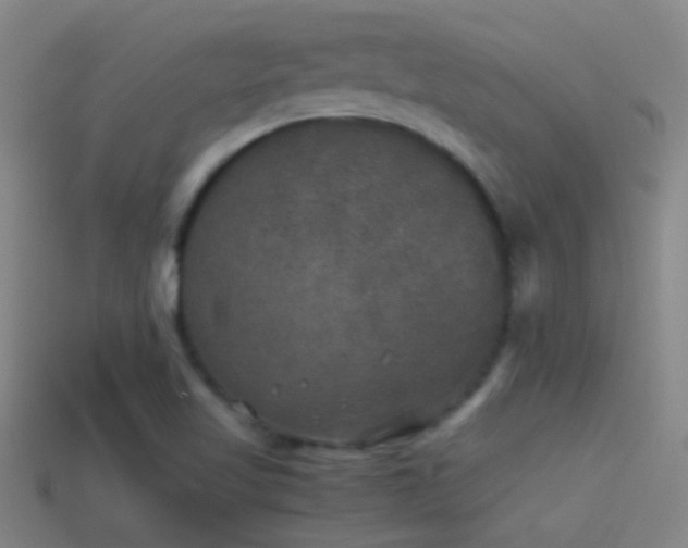 X0000114391509200910161243