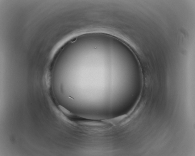 X0000114391510200910161243