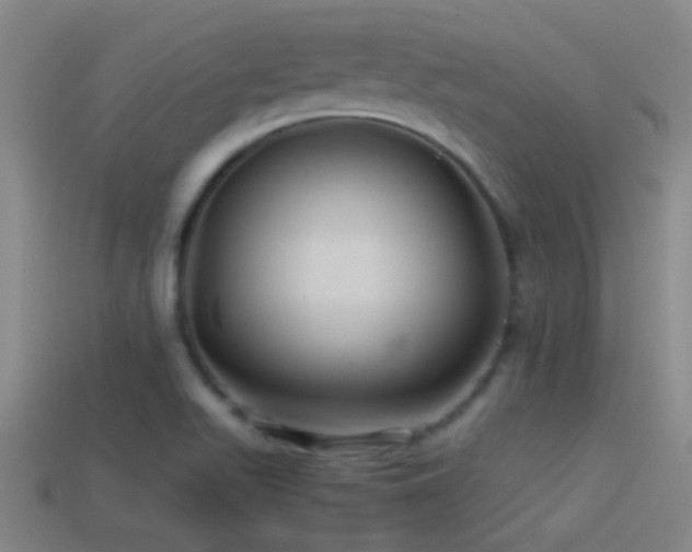 X0000114391511200910161243