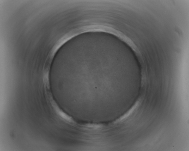 X0000114391513200910161243