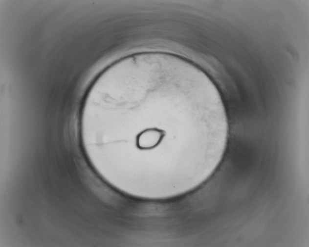 X0000114391514200910161243
