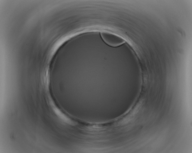 X0000114391515200910161243