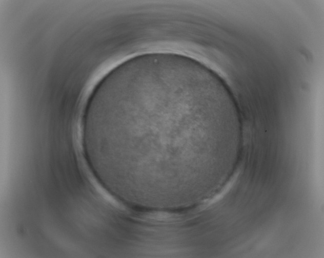 X0000114391517200910161243