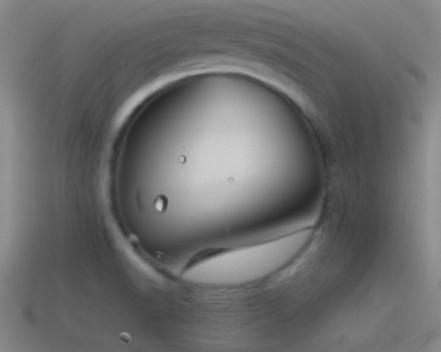 X0000114391518200910161243