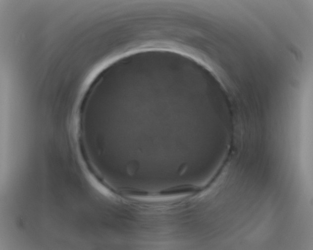 X0000114391519200910161243