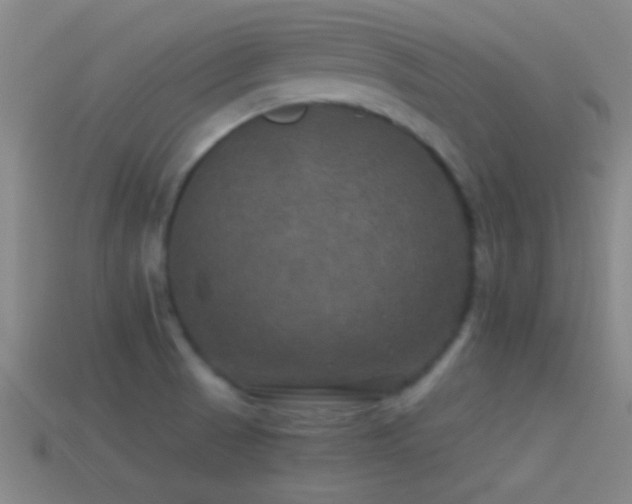 X0000114391521200910161243
