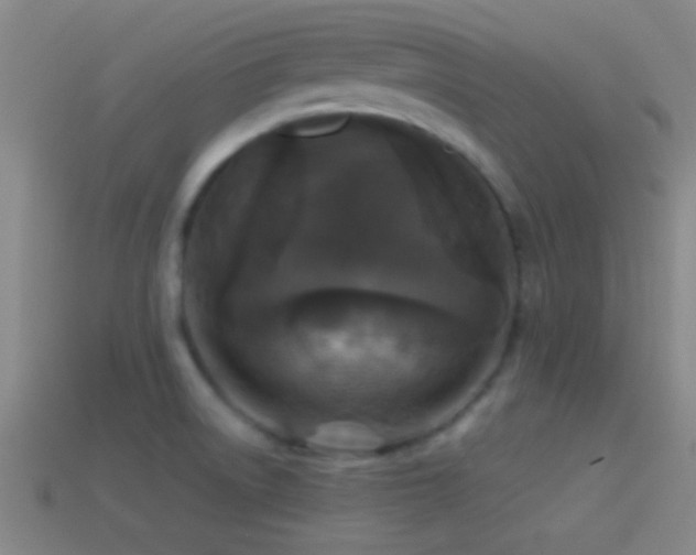 X0000114391522200910161243