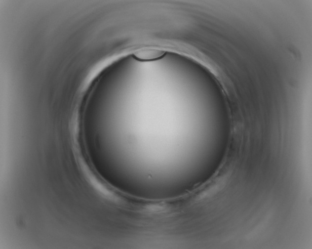 X0000114391523200910161243