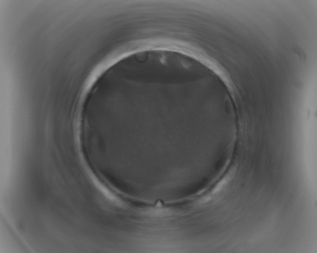 X0000114391525200910161243