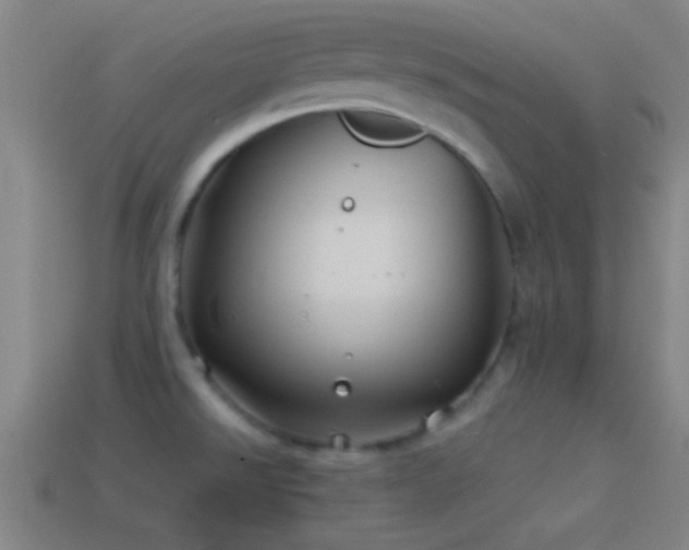 X0000114391526200910161243