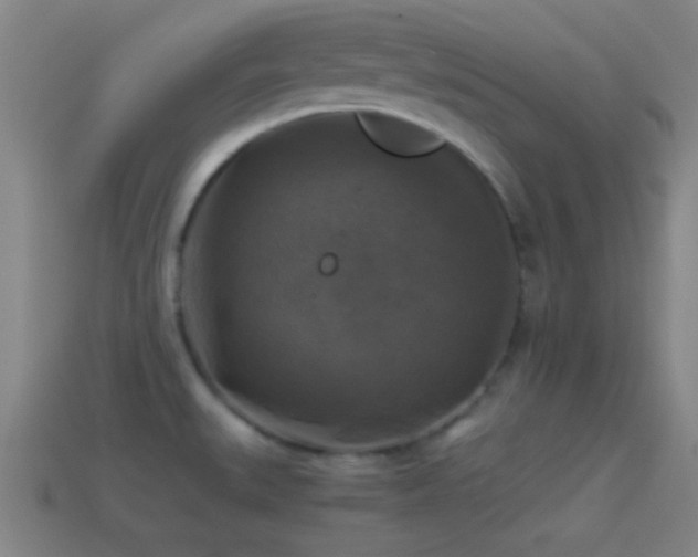 X0000114391527200910161243