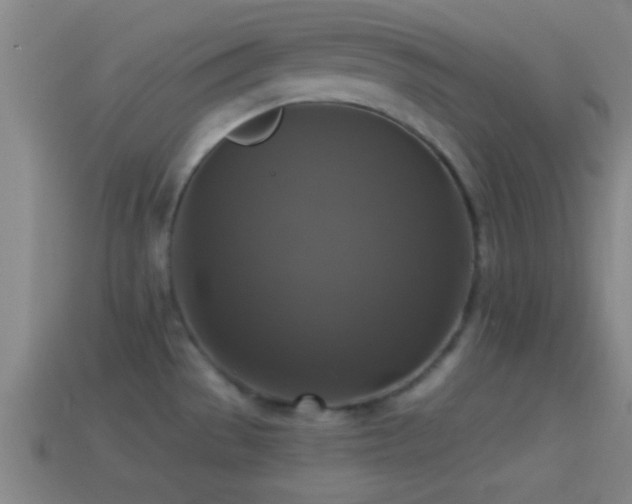 X0000114391529200910161243