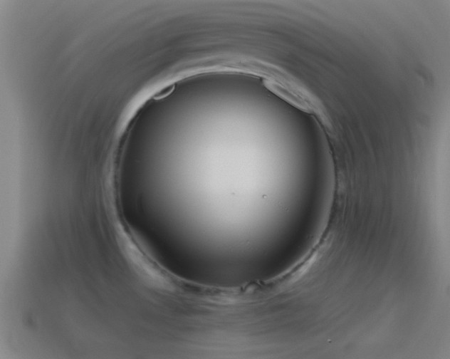 X0000114391530200910161243