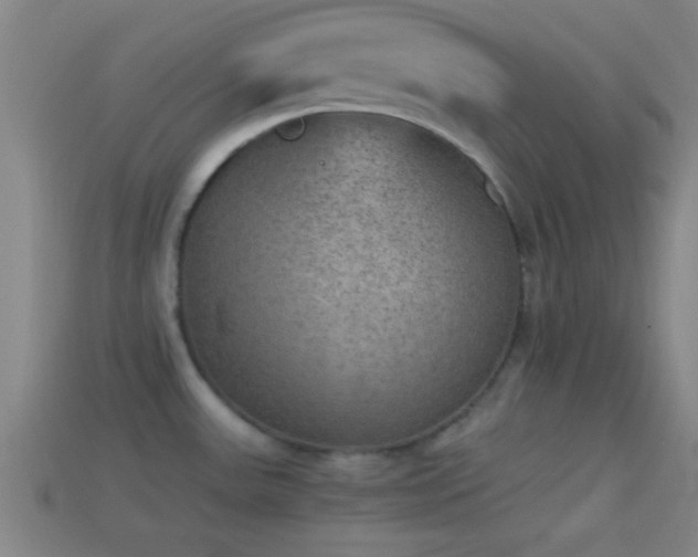 X0000114391531200910161243