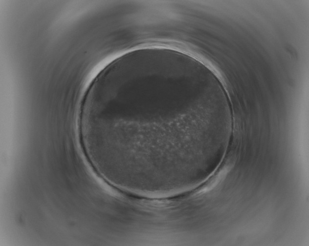 X0000114391533200910161243
