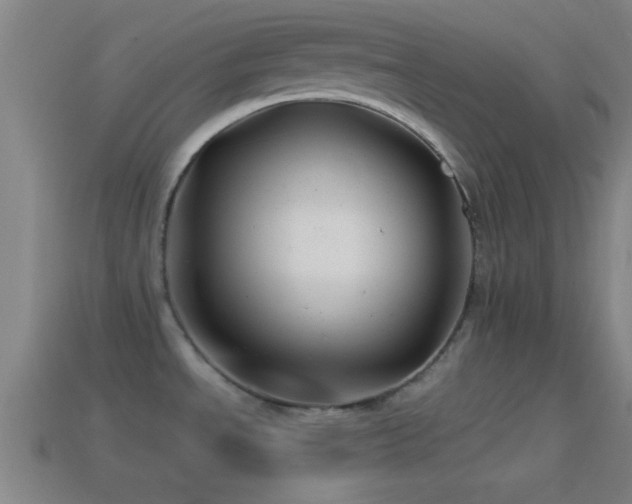 X0000114391534200910161243