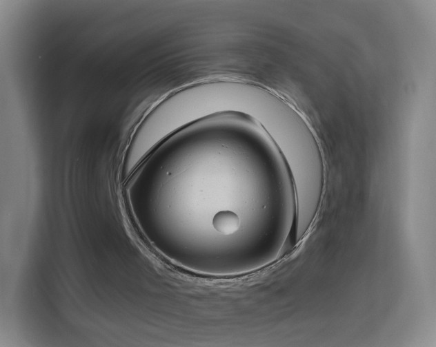 X0000114390001200910231026